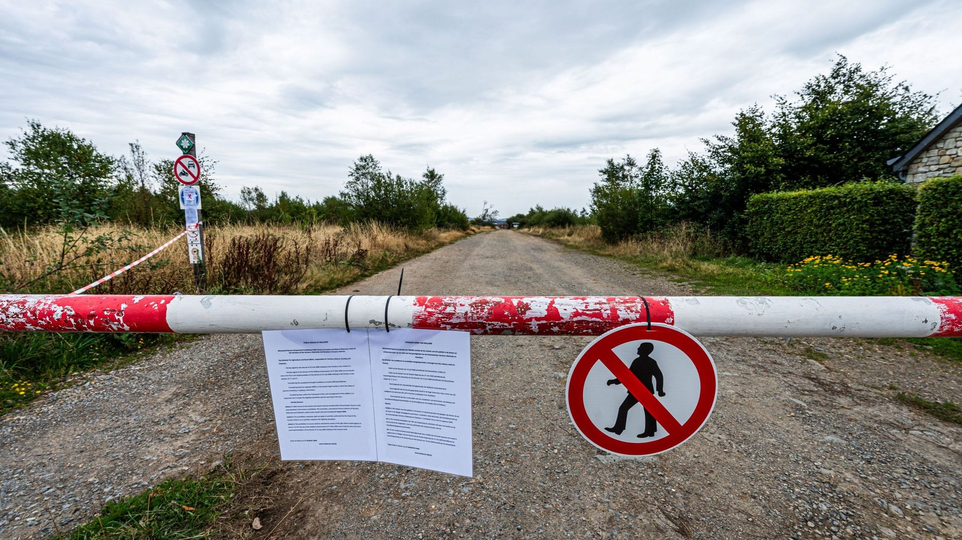 Un incendie ravivé dans les Hautes-Fagnes, près de 150 intervenants mobilisés pour le contenir