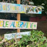 Une école innovante en plein air ouvre à Écaussinnes comme alternative à l'éducation traditionnelle