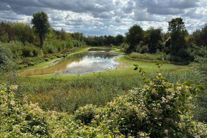 Waremme crée une nouvelle zone humide pour la gestion de l'eau et la biodiversité