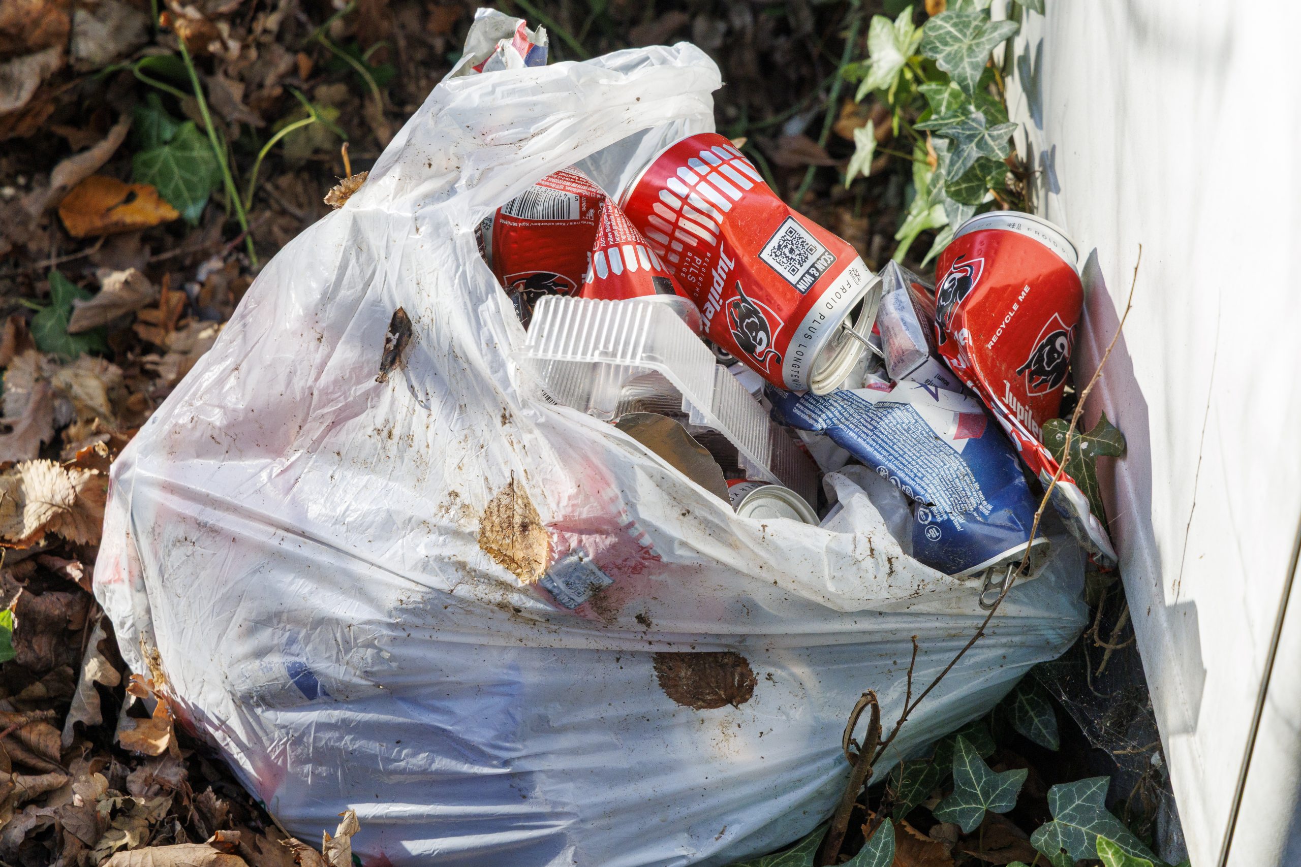 151 communes flamandes renforcent leurs efforts pour lutter contre les déchets et les dépôts clandestins