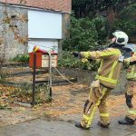 Des arbres tombés et des objets déplacés par le vent : 43 interventions des pompiers ce samedi à Bruxelles