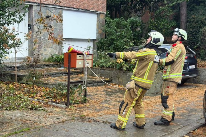 Des arbres tombés et des objets déplacés par le vent : 43 interventions des pompiers ce samedi à Bruxelles