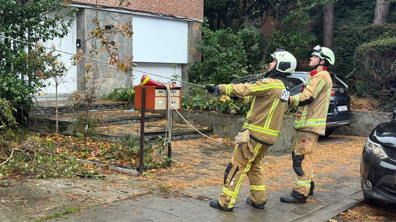 Des arbres tombés et des objets déplacés par le vent : 43 interventions des pompiers ce samedi à Bruxelles