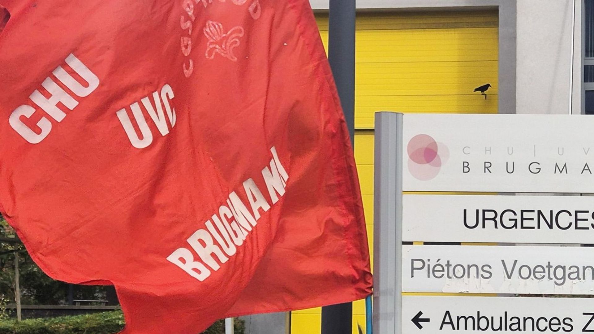 Des dizaines de personnes manifestent au CHU Brugmann contre des licenciements face à une pression grandissante sur les travailleurs