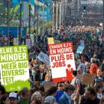 Des experts climatiques bruxellois alertent sur le manque de données pour évaluer les politiques gouvernementales.