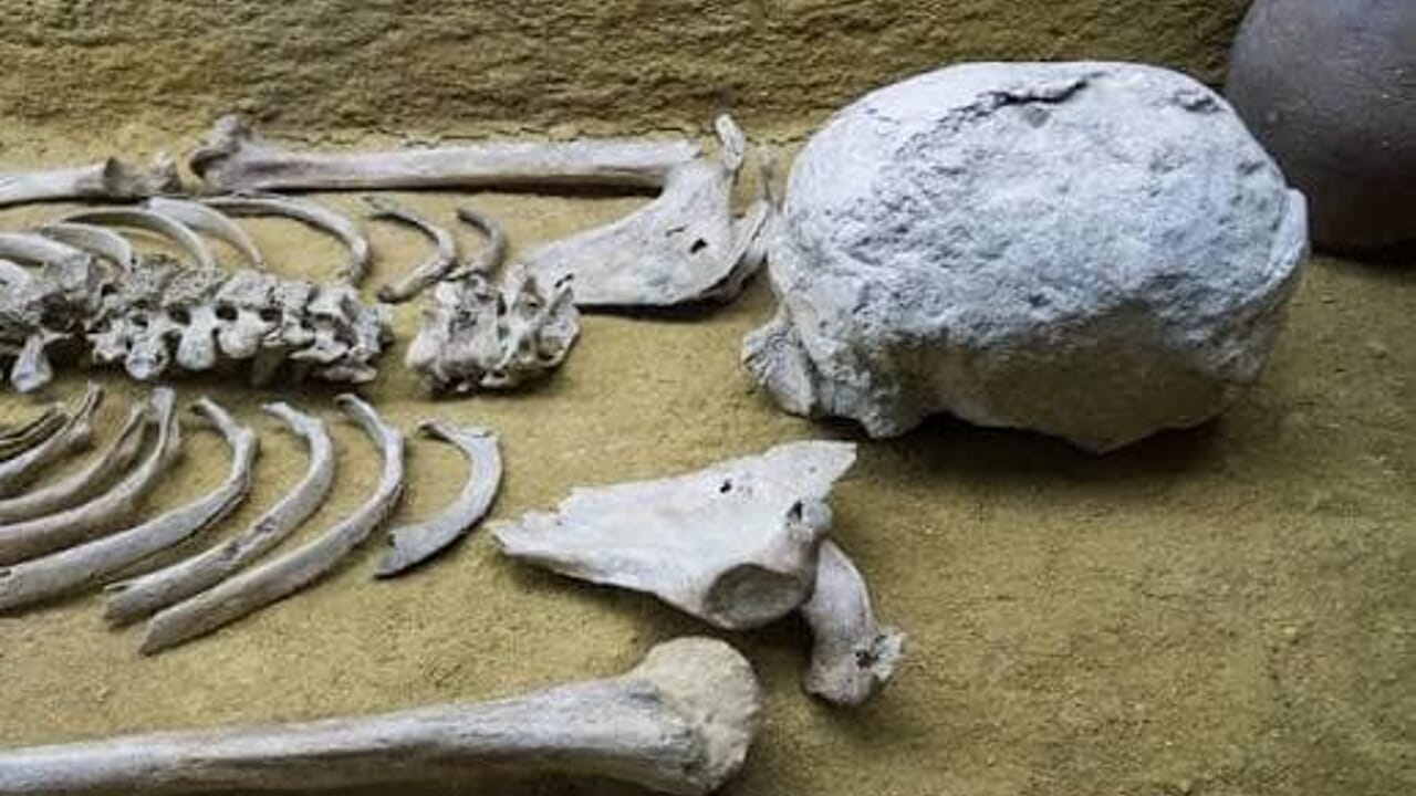 Des ossements humains mis en vente dans un magasin de seconde main à Mortsel