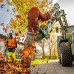 Feuilles mortes : quelles obligations pour les riverains ?