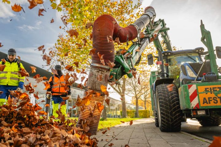 Feuilles mortes : quelles obligations pour les riverains ?