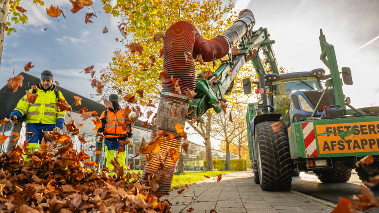 Feuilles mortes : quelles obligations pour les riverains ?