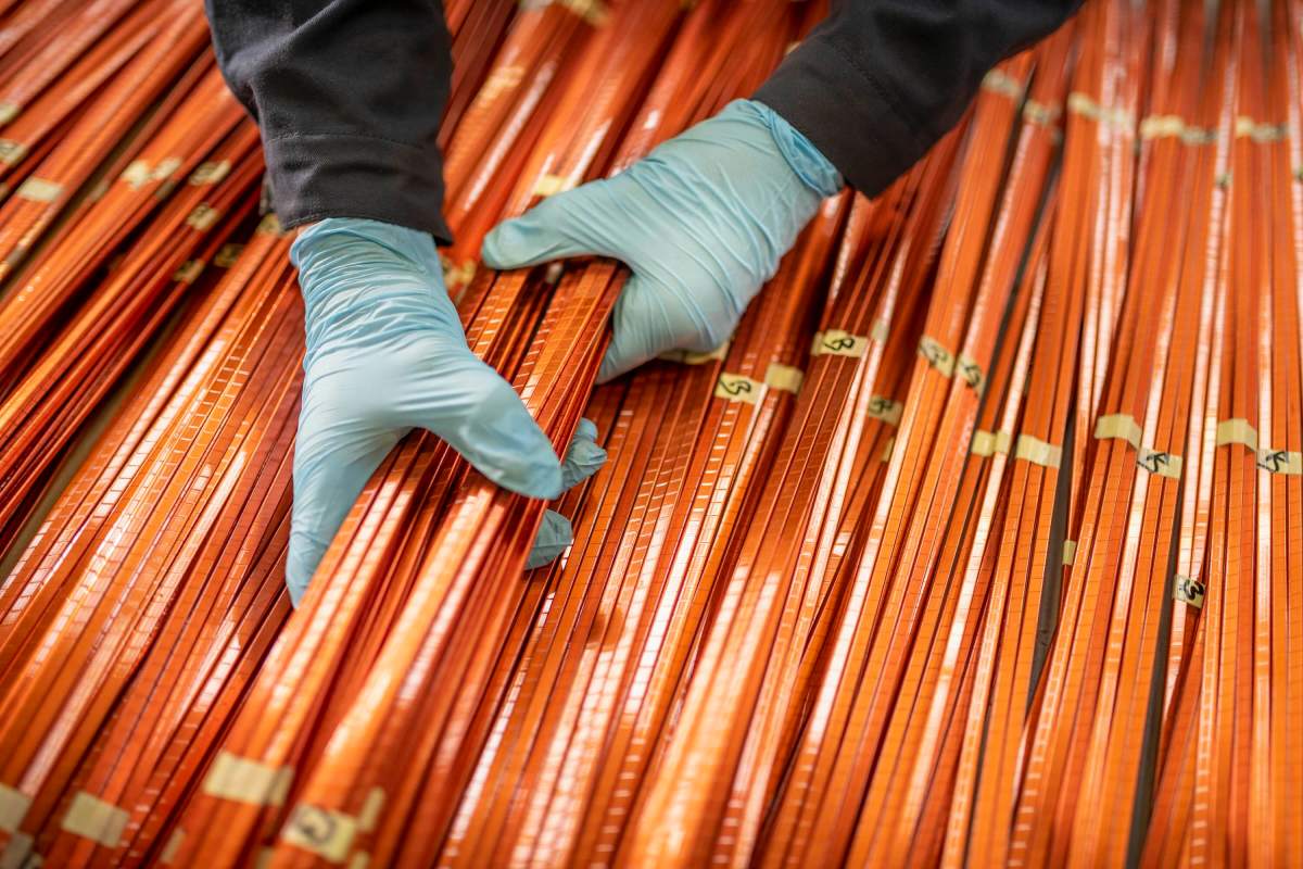 Giraffe Bio développe des biomolécules pour pallier une éventuelle pénurie de cuivre