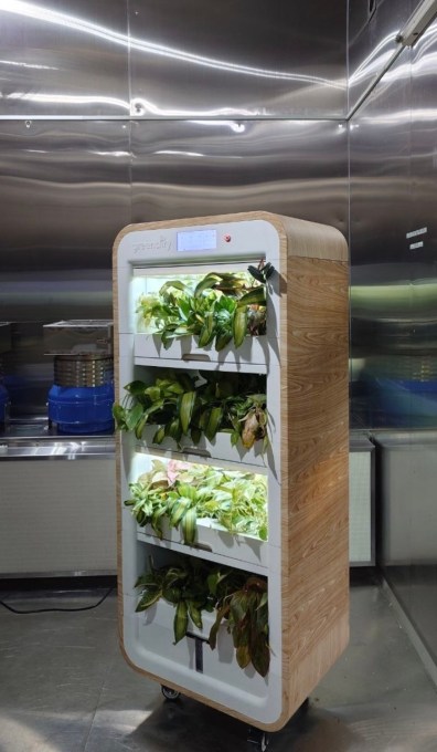 Greenairy développe des tours de plantes innovantes pour lutter contre la pollution de l'air intérieur au bureau