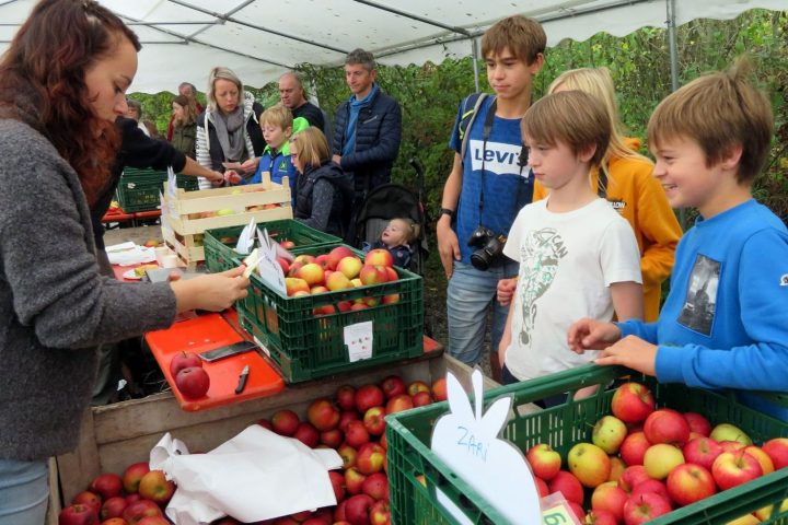 La Foire aux pommes de Virelles présente des variétés locales ce week-end