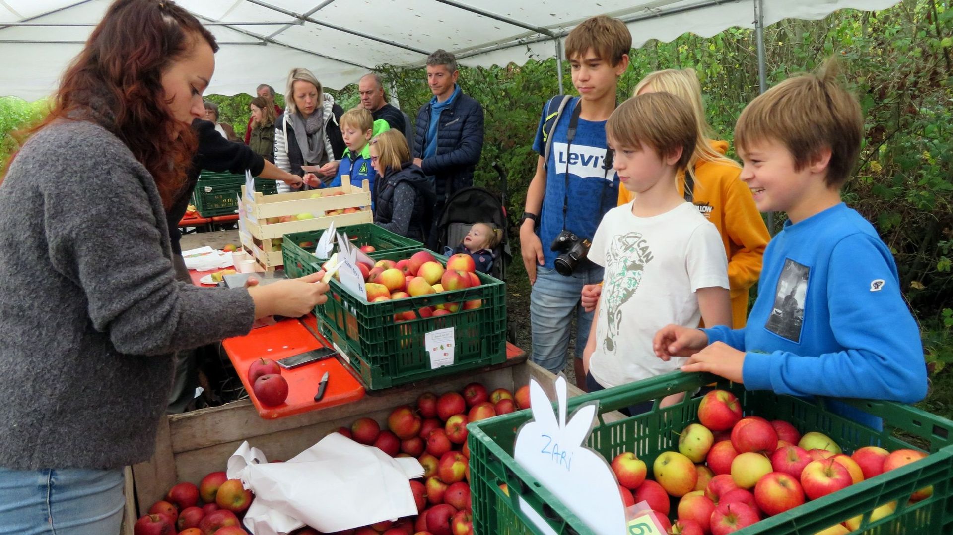 La Foire aux pommes de Virelles présente des variétés locales ce week-end