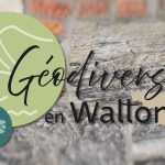 La géodiversité en Wallonie : comment les roches et les paysages façonnent le patrimoine local