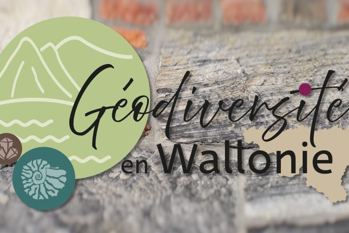 La géodiversité en Wallonie : comment les roches et les paysages façonnent le patrimoine local