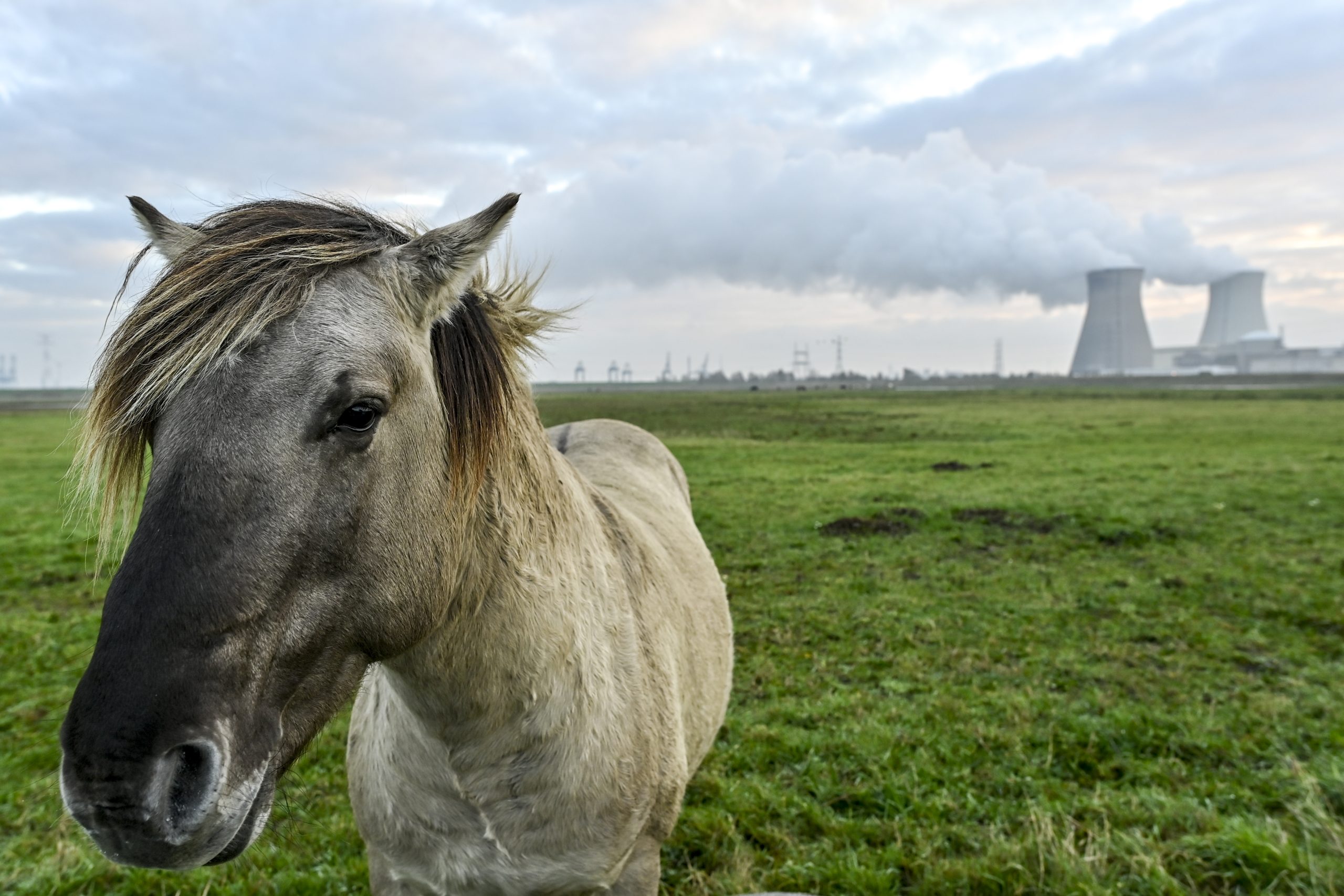 La production d'électricité en Belgique atteint son niveau le plus bas en près de vingt ans