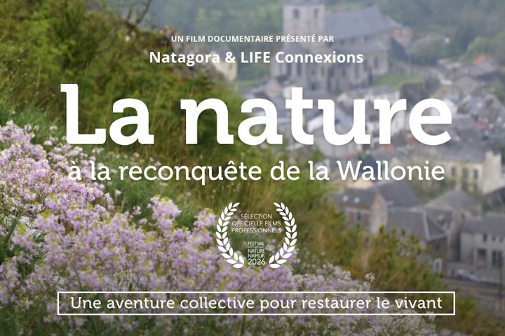 La récupération de la nature en Wallonie : un documentaire met en lumière les efforts de restauration de la biodiversité