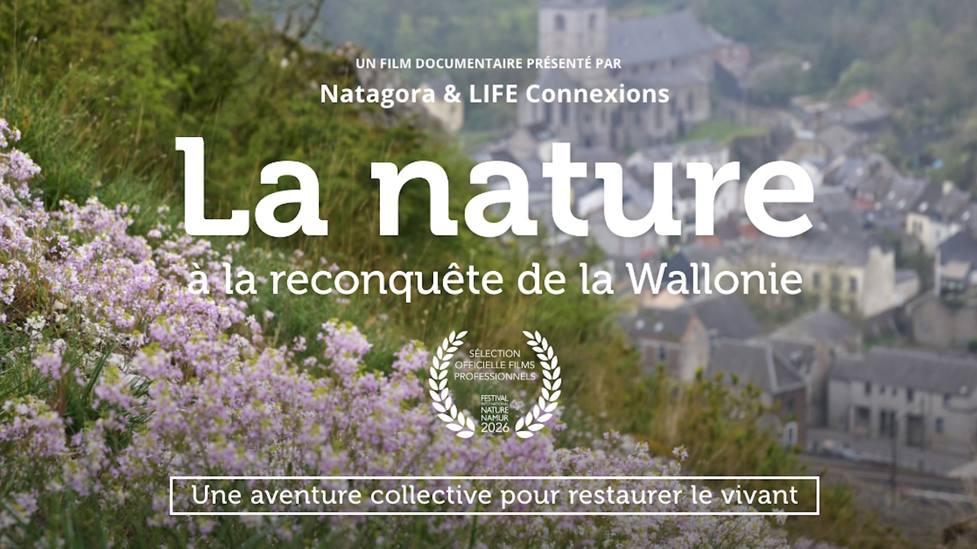 La récupération de la nature en Wallonie : un documentaire met en lumière les efforts de restauration de la biodiversité