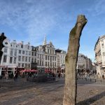 La Ville de Bruxelles abat des arbres au Marché aux Herbes en raison de risques de chutes supplémentaires
