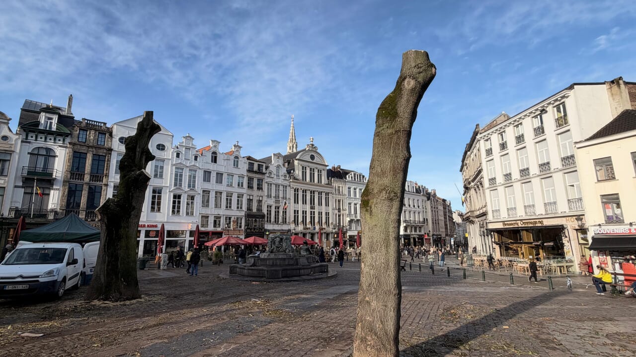 La Ville de Bruxelles abat des arbres au Marché aux Herbes en raison de risques de chutes supplémentaires