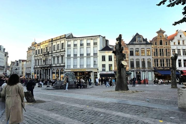 L'association We Are Nature porte plainte contre la Ville de Bruxelles pour l'abattage des arbres rue du Marché aux Herbes