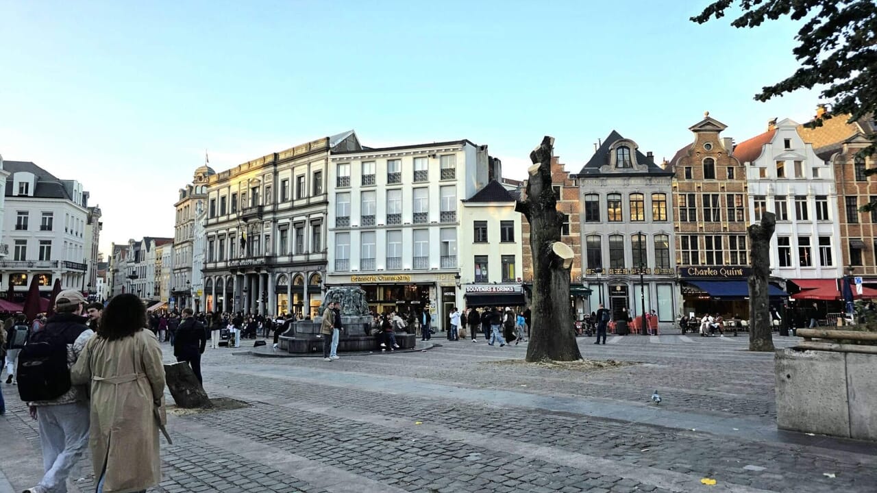 L'association We Are Nature porte plainte contre la Ville de Bruxelles pour l'abattage des arbres rue du Marché aux Herbes