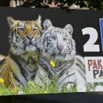 L'avenir du parc animalier Pakawi en Flandre menacé après la fermeture de 16 enclos