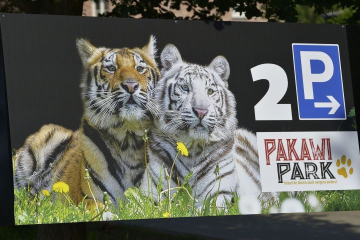 L'avenir du parc animalier Pakawi en Flandre menacé après la fermeture de 16 enclos