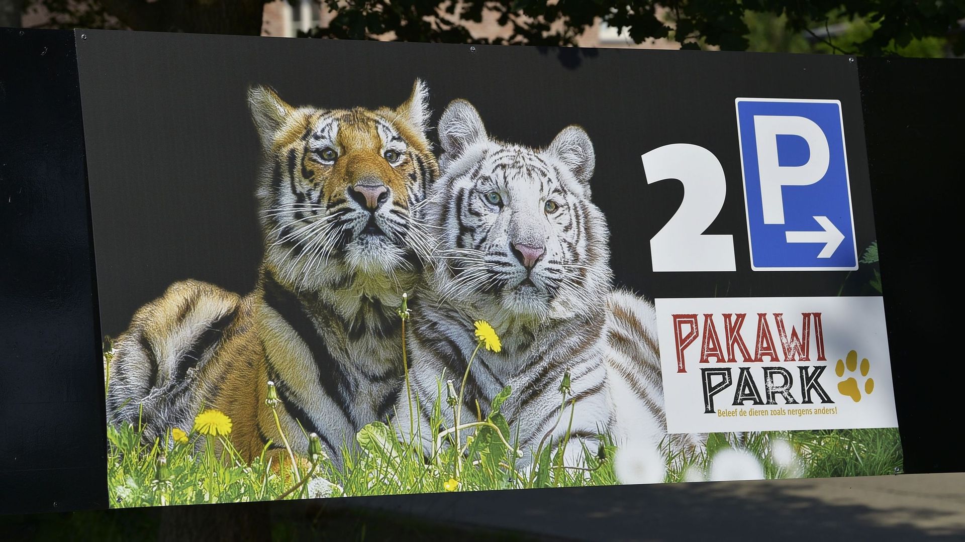 L'avenir du parc animalier Pakawi en Flandre menacé après la fermeture de 16 enclos