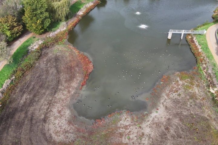 Le lac de Louvain-la-Neuve poursuit ses efforts de restauration pour renforcer son rôle de prévention des inondations