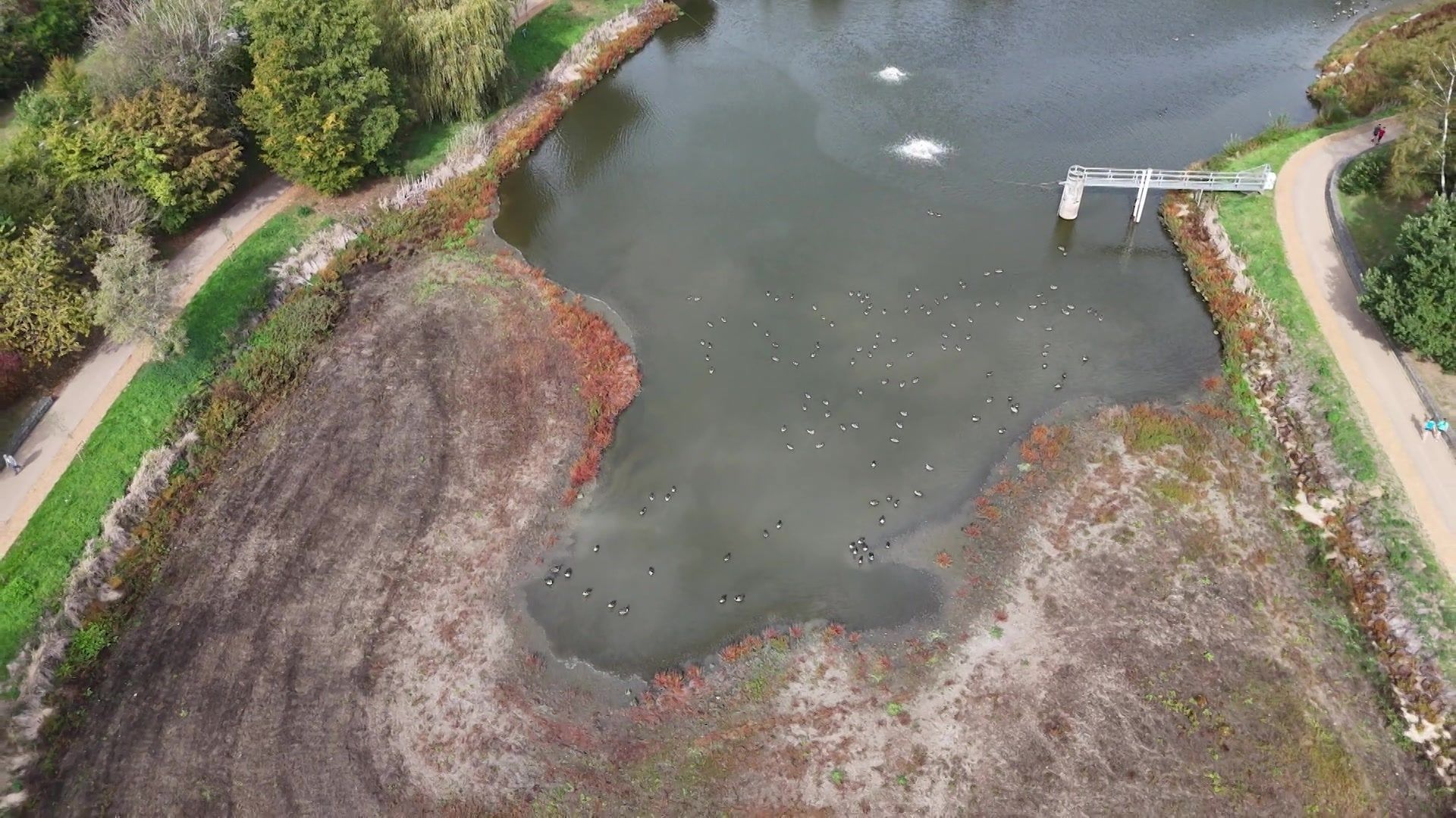 Le lac de Louvain-la-Neuve poursuit ses efforts de restauration pour renforcer son rôle de prévention des inondations