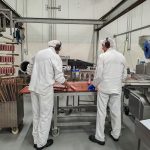 Le nombre moyen d'employés en Belgique a légèrement diminué par rapport à l'année dernière