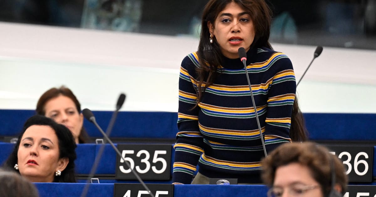 Le Parlement européen confronté à une controverse suite aux contestations de Rima Hassan sur l'incident des drapeaux