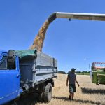 Les agriculteurs de l'UE privilégient leurs préoccupations intérieures aux besoins urgents d'exportation de céréales de l'Ukraine