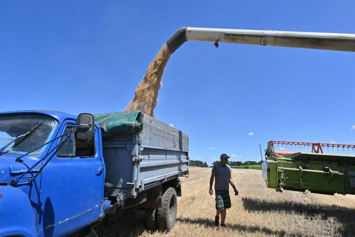 Les agriculteurs de l'UE privilégient leurs préoccupations intérieures aux besoins urgents d'exportation de céréales de l'Ukraine