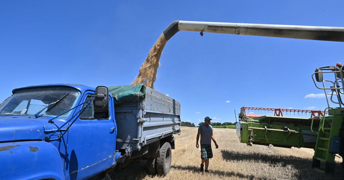 Les agriculteurs de l'UE privilégient leurs préoccupations intérieures aux besoins urgents d'exportation de céréales de l'Ukraine