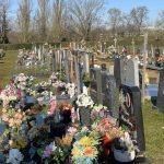 Les communes bruxelloises proposent 14 projets pour créer de nouvelles sépultures dans les cimetières multiconfessionnels