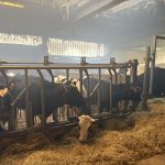 Les États membres de l'UE parviennent à un consensus sur la réforme future de la politique agricole commune