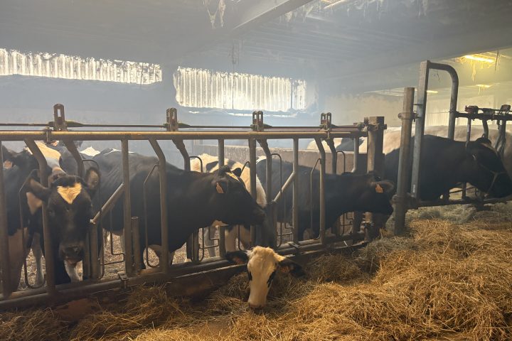 Les États membres de l'UE parviennent à un consensus sur la réforme future de la politique agricole commune