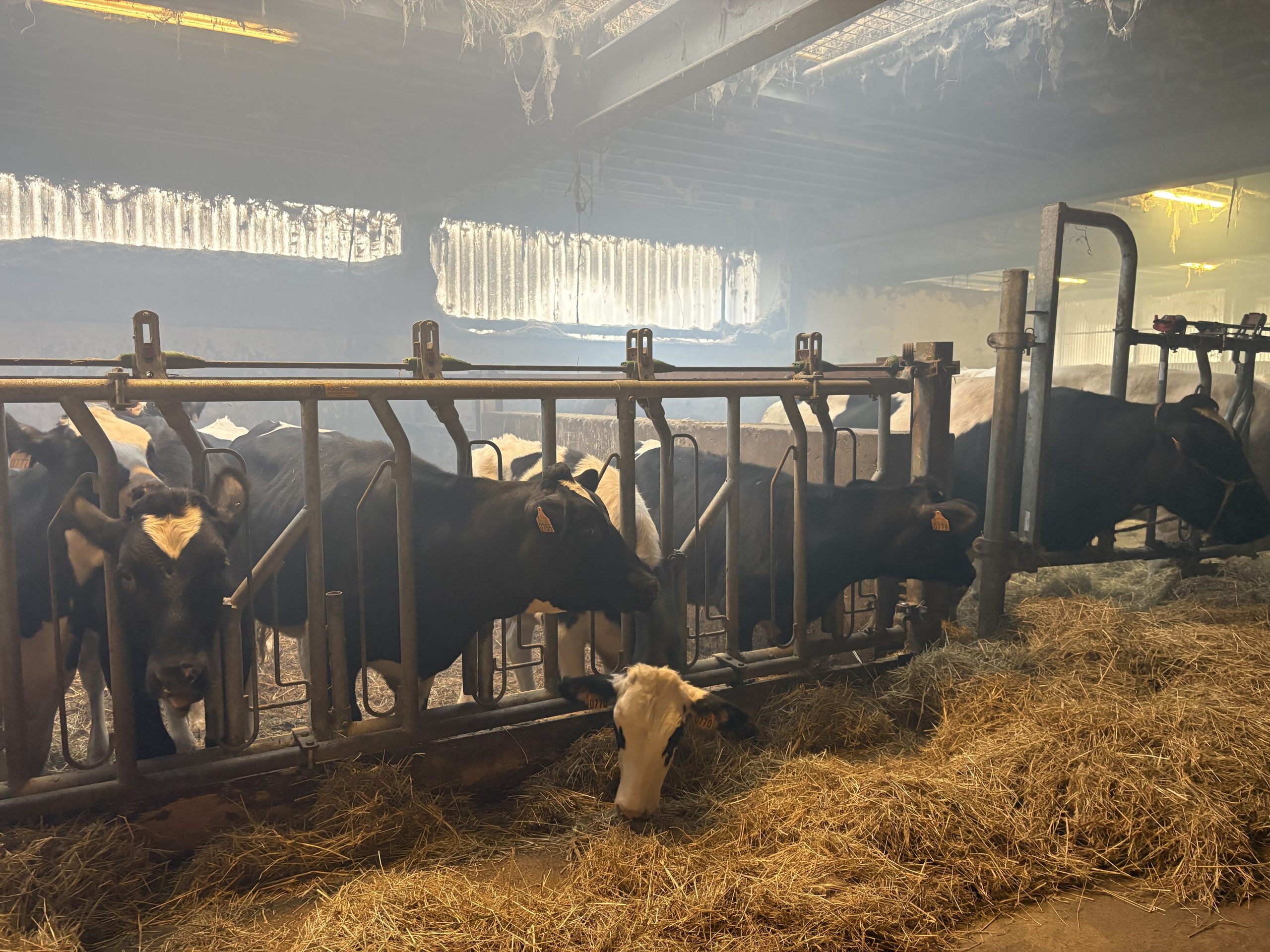 Les États membres de l'UE parviennent à un consensus sur la réforme future de la politique agricole commune