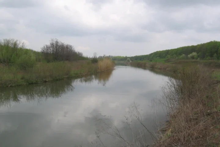 Les troupes russes cessent d'annoncer des avancées vers la rivière Siverskyi Donets