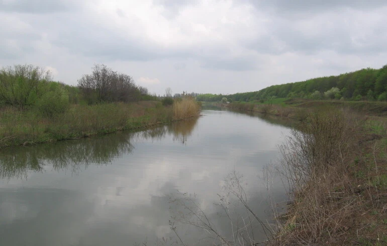 Les troupes russes cessent d'annoncer des avancées vers la rivière Siverskyi Donets