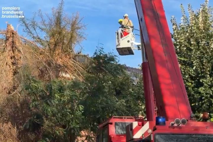 "Restez vigilants" : les pompiers de Bruxelles appellent à la prudence après la tempête Boelo