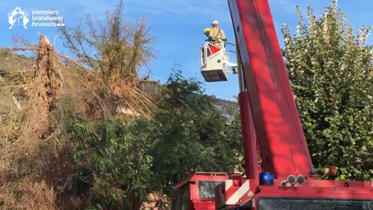 "Restez vigilants" : les pompiers de Bruxelles appellent à la prudence après la tempête Boelo
