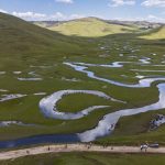 Sommet sur la biodiversité à Yerevan, progrès lent vers les objectifs de conservation