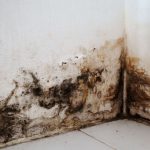 Trois unions de locataires mobilisées contre le logement insalubre à Charleroi