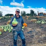Un producteur d'Ittre déplore le vol de ses citrouilles et souligne le travail investi