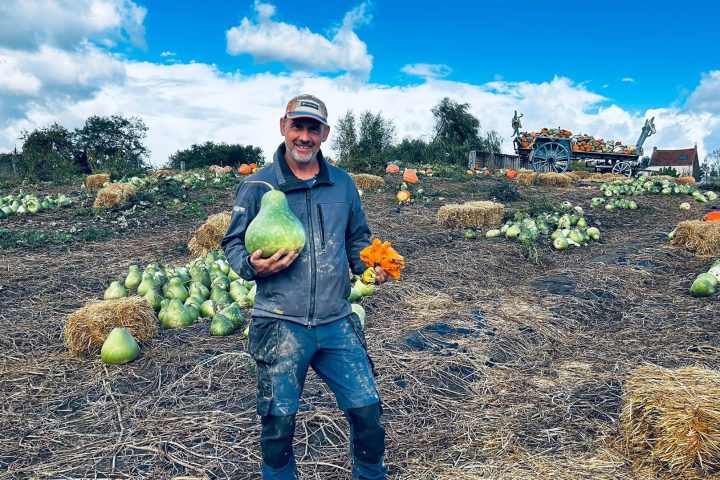 Un producteur d'Ittre déplore le vol de ses citrouilles et souligne le travail investi