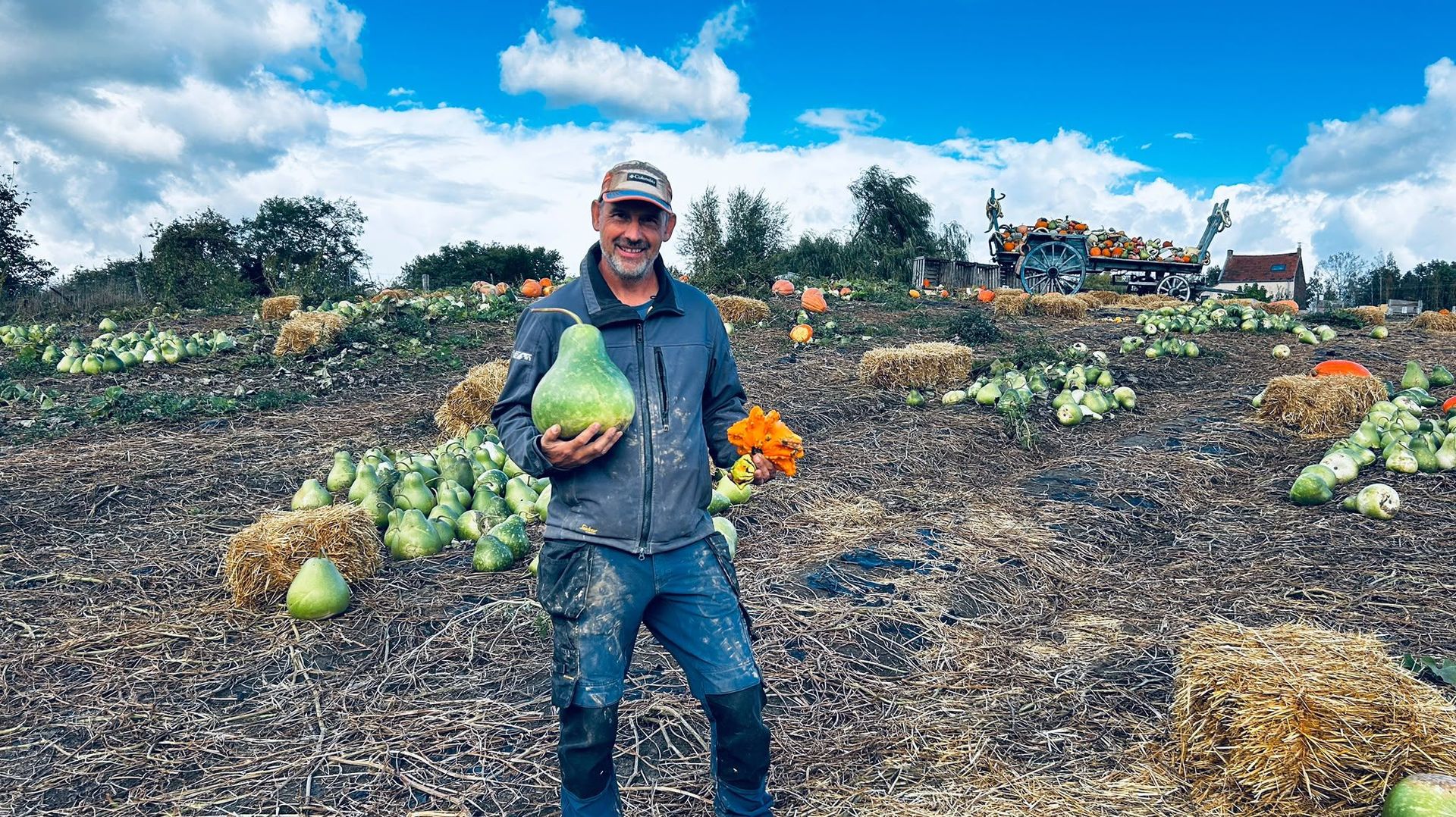Un producteur d'Ittre déplore le vol de ses citrouilles et souligne le travail investi